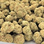 Girls Scout Cookies AAA - Image 2