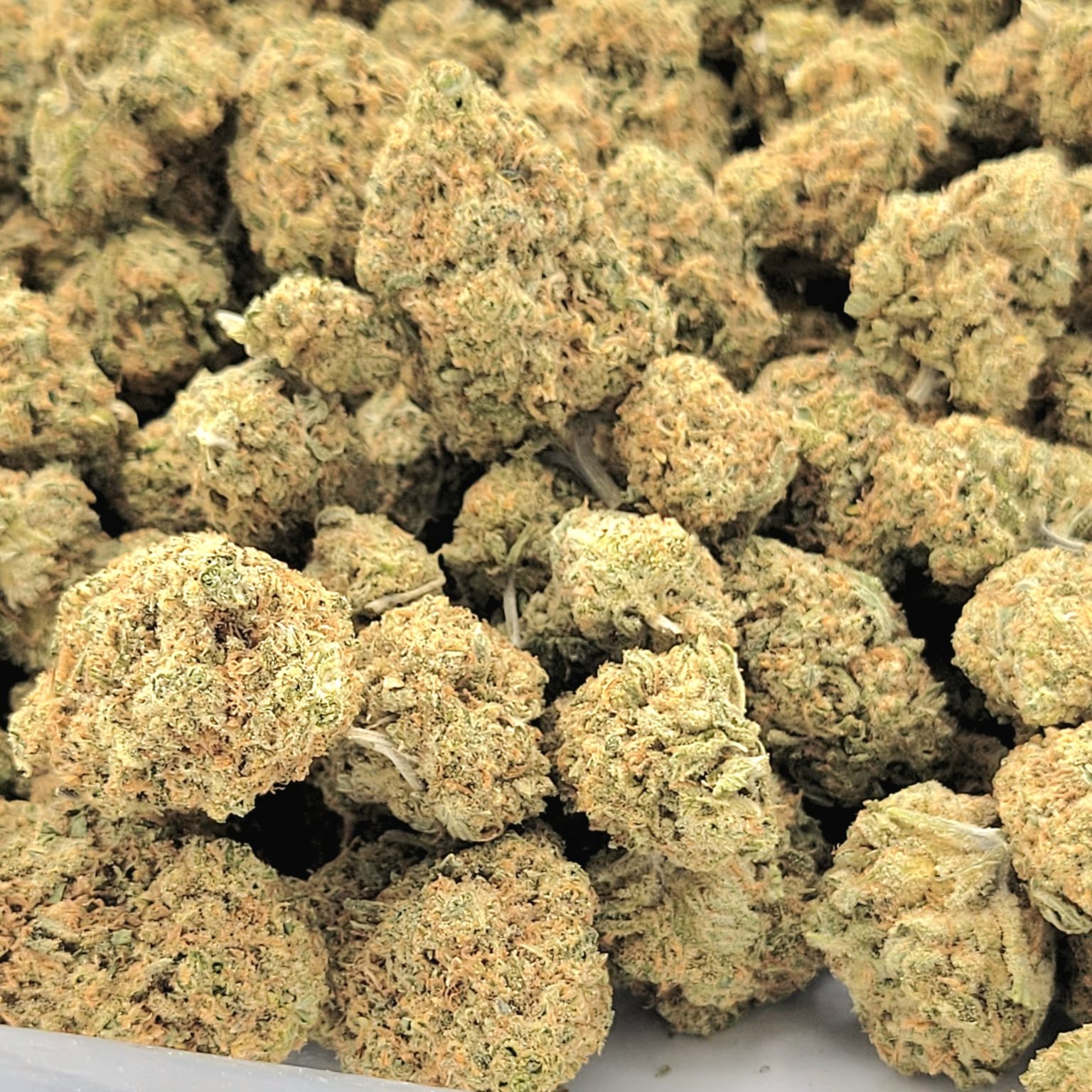 Girls Scout Cookies AAA - Image 2