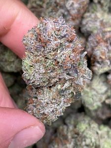 Tyson OG (AAA+)