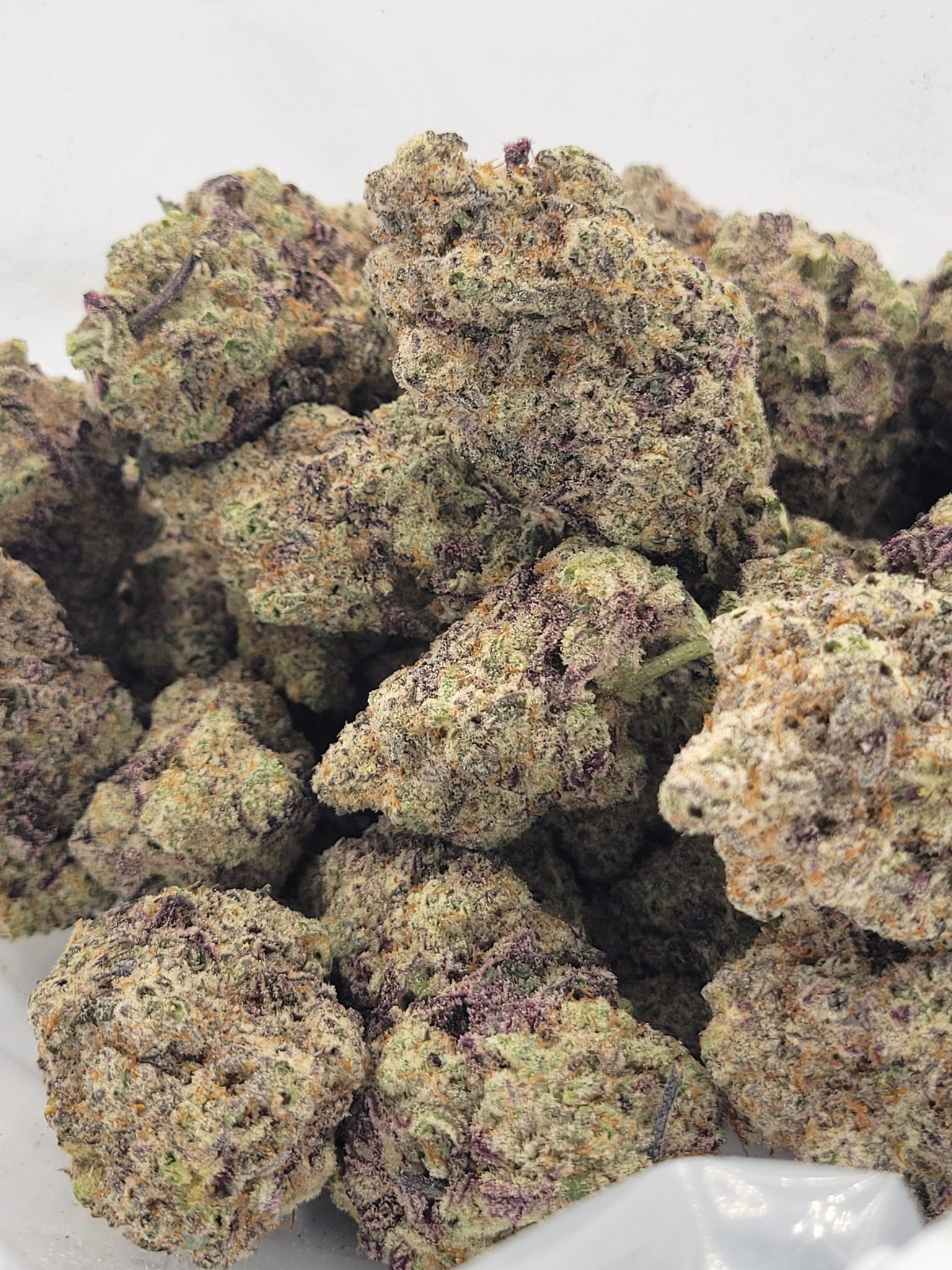MACMOSA AAAA+ - Image 2