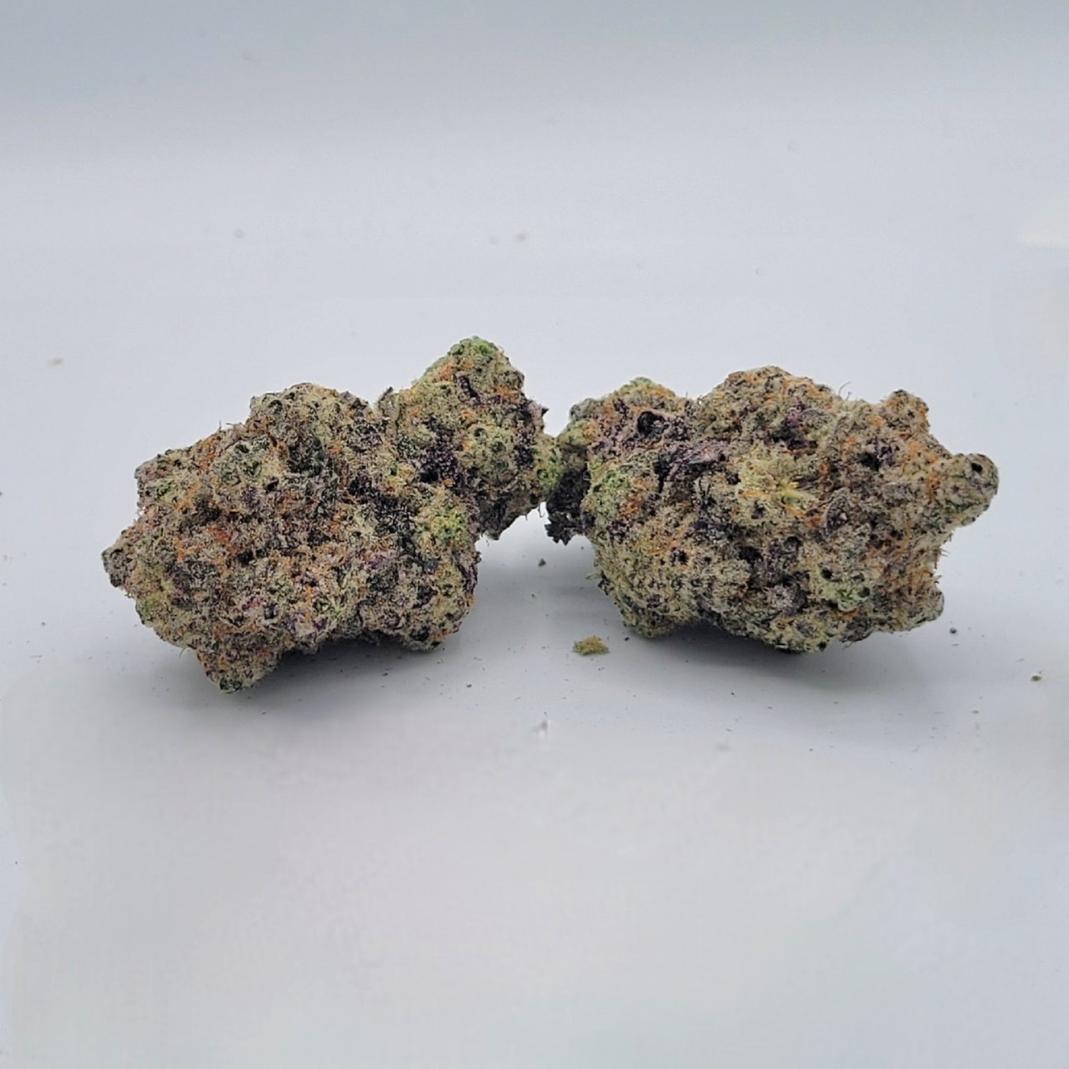 MACMOSA AAAA+ - Image 1