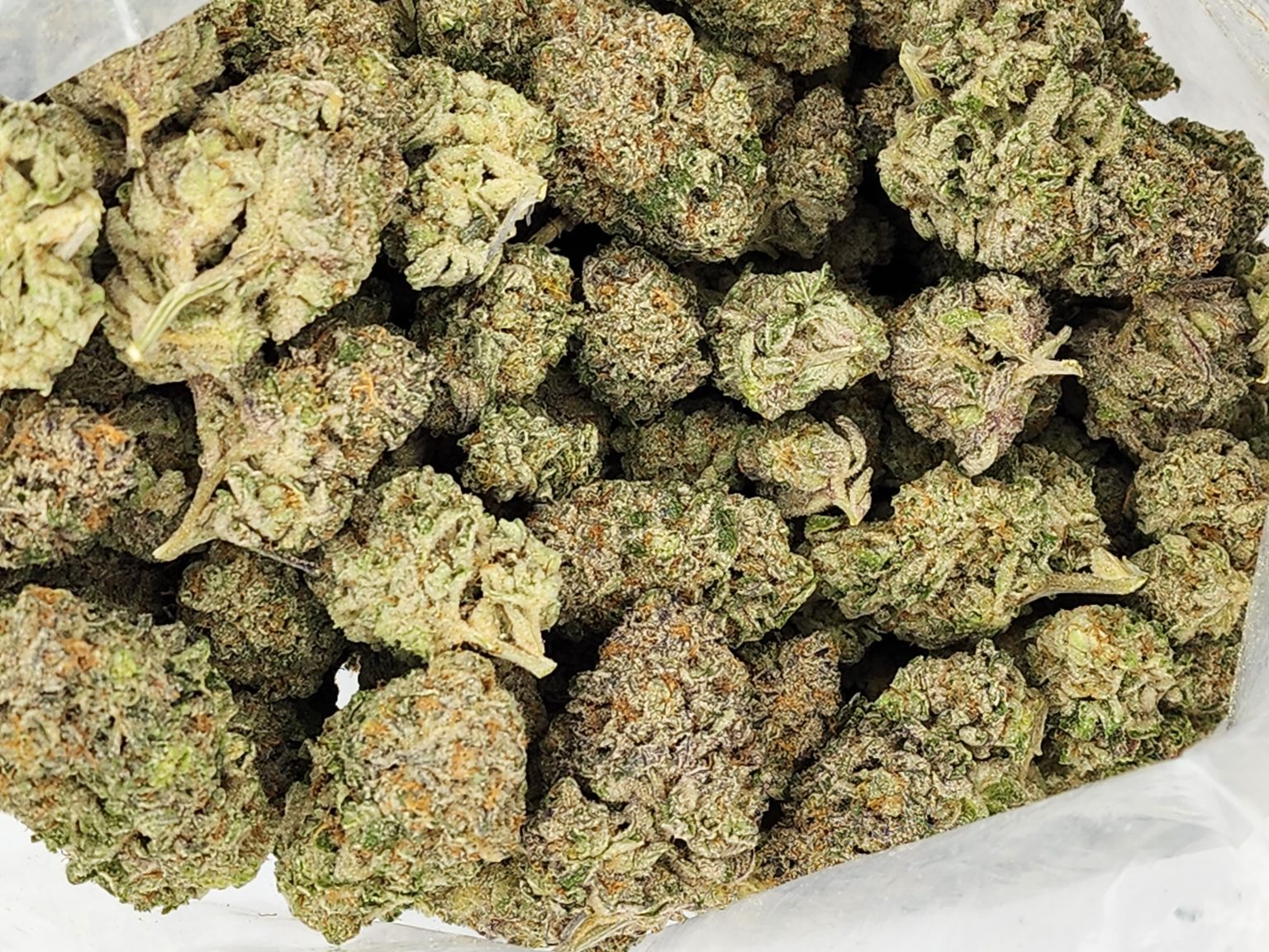 Super Silver Haze AAA+ - Image 1