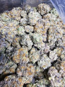 Cocolato Chocolate Coconut Hybrid – Premium Exotic Strain Canada