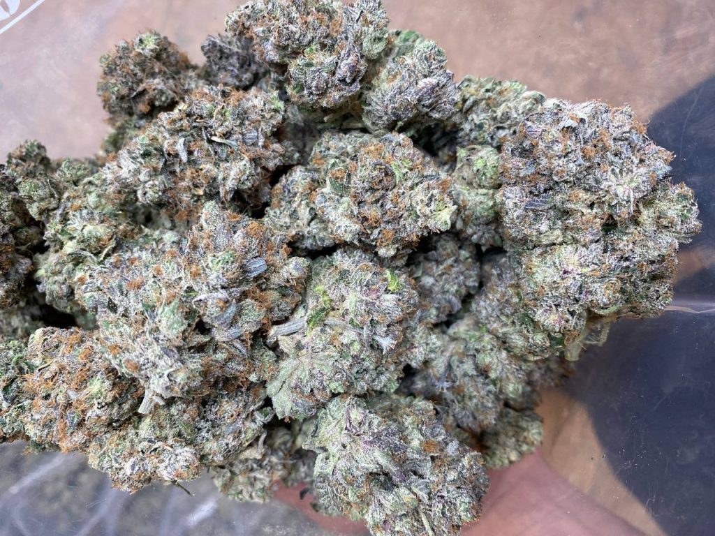 Close-up of Pink Kush cannabis buds, displaying their dense structure, purple hues, and frosty trichomes.