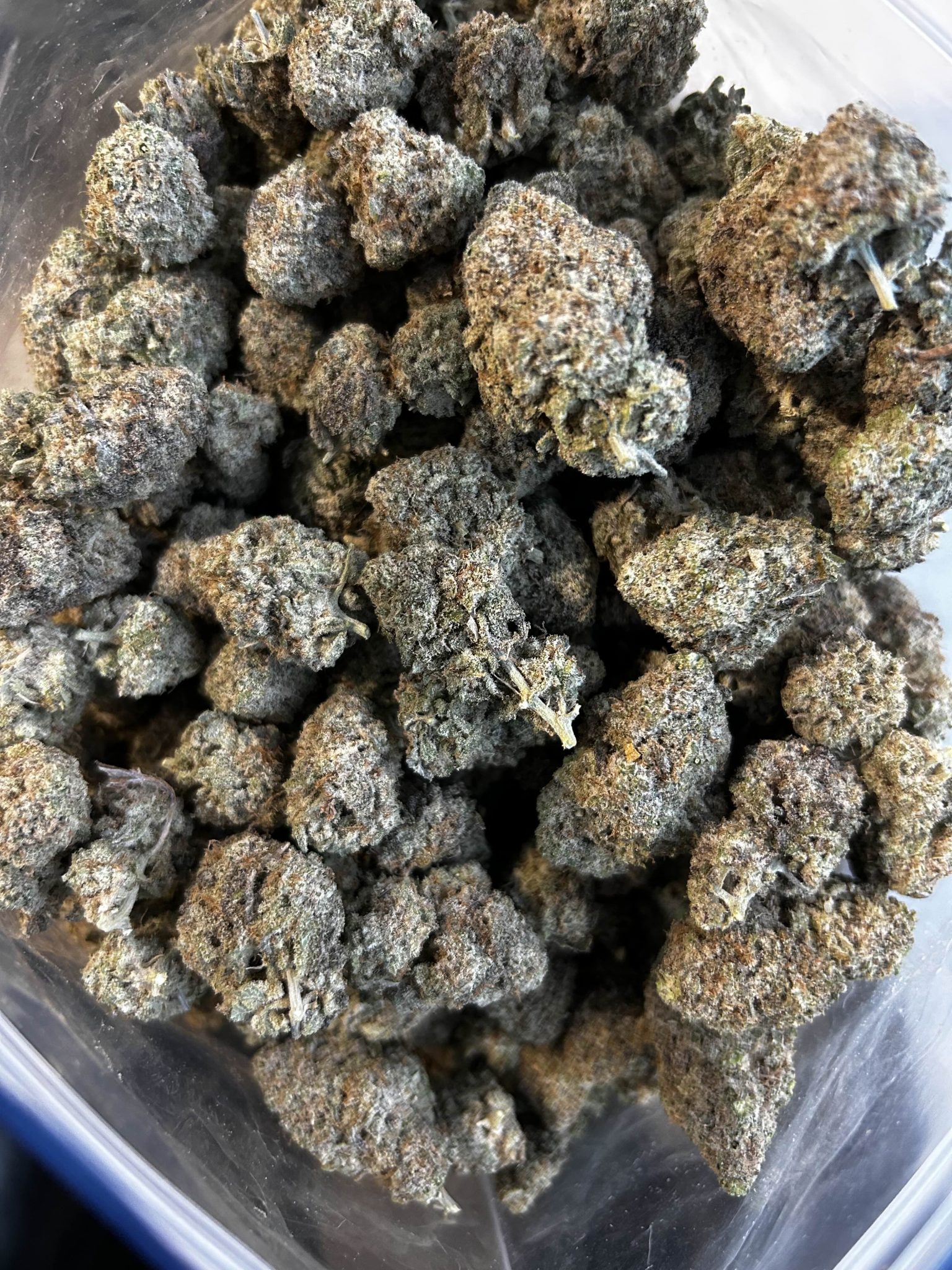 Miracle Donuts Smalls Premium THC Hybrid Bulk - Image 2
