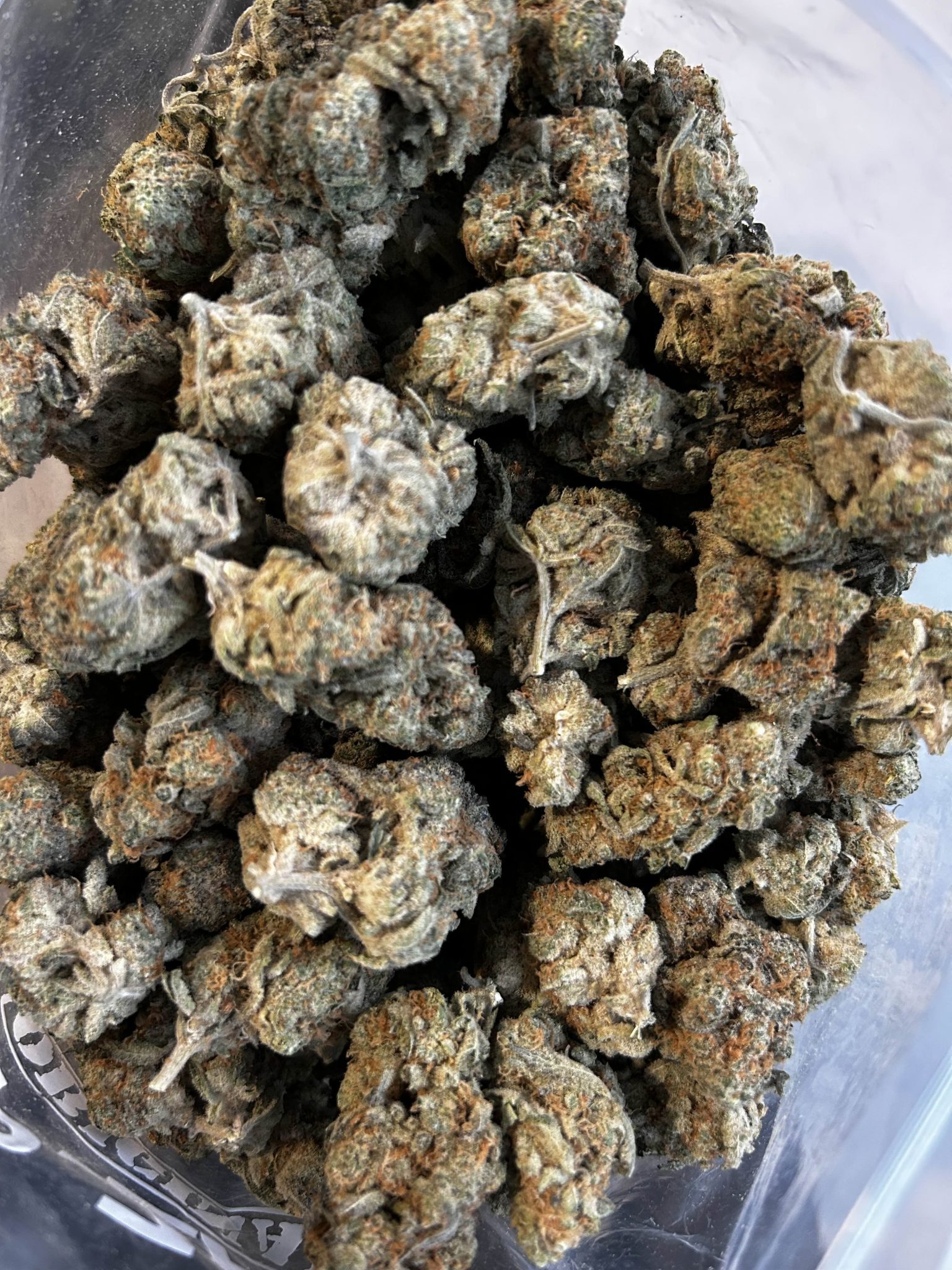 Garlic Fusion Premium Exotics - Image 2