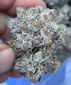 Rockstar X Tyson OG