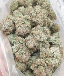 Sticky Pink Kush cannabis buds glistening with trichomes, exuding a strong gassy aroma and vibrant pink and green hues.