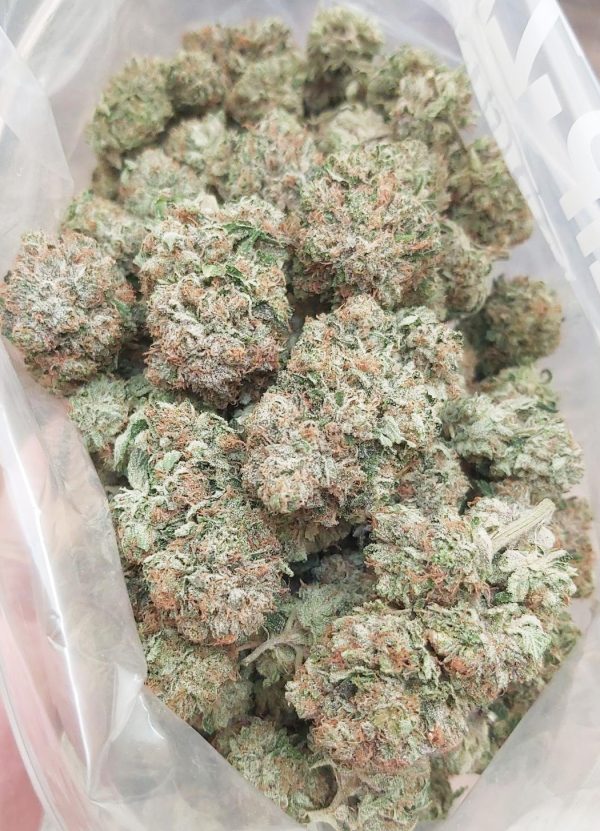 Sticky Pink Kush cannabis buds glistening with trichomes, exuding a strong gassy aroma and vibrant pink and green hues.