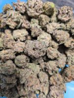 P-Wiz Premium Quality Flowers