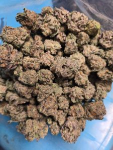 P-Wiz Premium Quality Flowers - Image 2