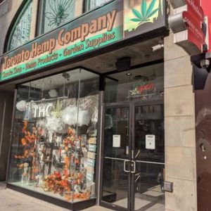 A vibrant seasonal display at the Toronto Hemp Company storefront, featuring fall-themed decorations alongside cannabis-related products.