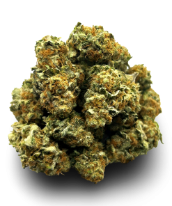 Apple Fritters