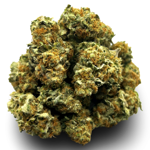 Apple Fritters