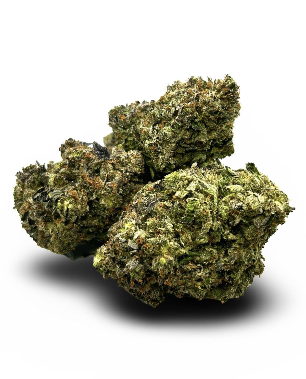 Tyranitar - Image 1