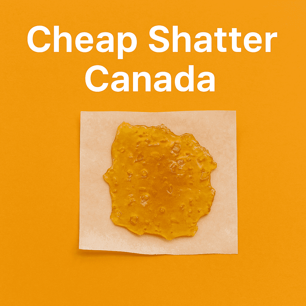 Pieces of golden cannabis shatter on parchment paper