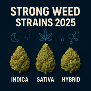Square graphic titled Strong Weed Strains 2025 with three cannabis buds labeled Indica, Sativa, and Hybrid on a dark blue background with simple icons.