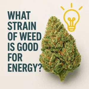 Square graphic with the words “What strain of weed is good for energy?” beside a frosty cannabis bud and a lightbulb icon on a light background.