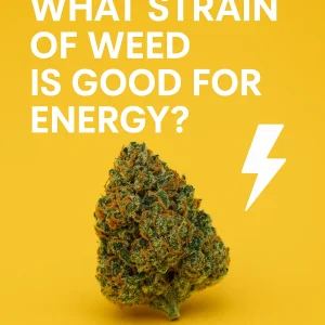 Bright yellow square graphic reading “What strain of weed is good for energy?” with a cannabis bud and a white lightning bolt icon.