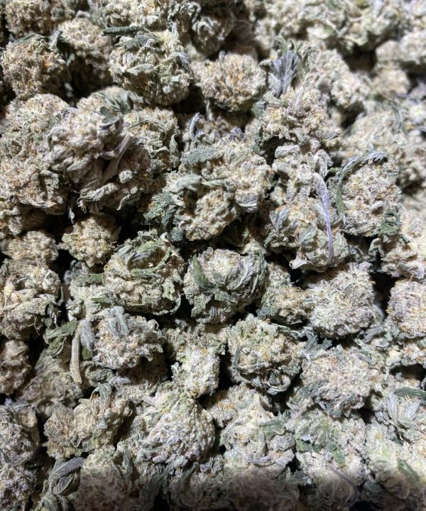Platinum Punch Small