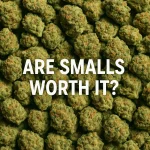 Pile of frosty small cannabis buds filling the frame with the text “Are Smalls Worth It?”