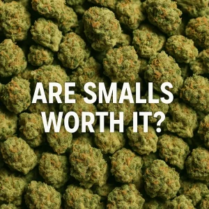 Pile of frosty small cannabis buds filling the frame with the text “Are Smalls Worth It?”