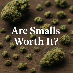 Close-up of mixed small and large cannabis buds scattered on a wood table with the headline “Are Smalls Worth It?”