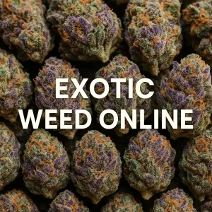 Rows of purple and green exotic cannabis buds with the text Exotic Weed Online.