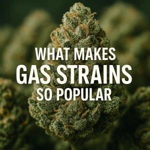 Close-up of a frosty gas cannabis bud with the text What Makes Gas Strains So Popular.