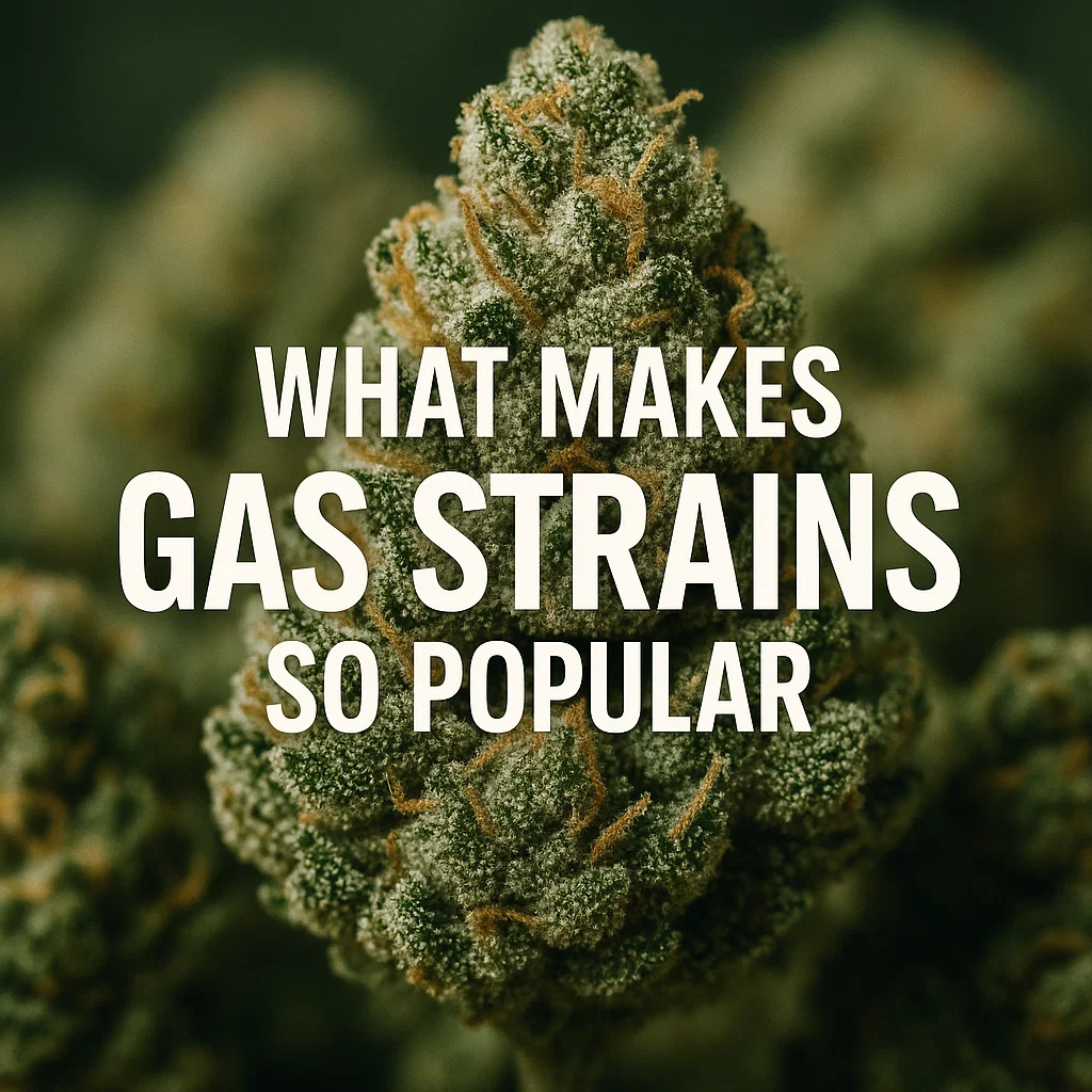 Close-up of a frosty gas cannabis bud with the text What Makes Gas Strains So Popular.