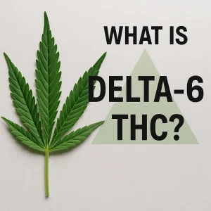 Cannabis leaf on a gray backdrop with a green triangle and the headline “What is Delta-6 THC?”