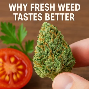 Hand holding a fresh cannabis bud near a tomato slice and parsley with text “Why Fresh Weed Tastes Better.”