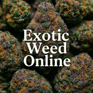 Close-up of purple and orange exotic cannabis buds with the text Exotic Weed Online.