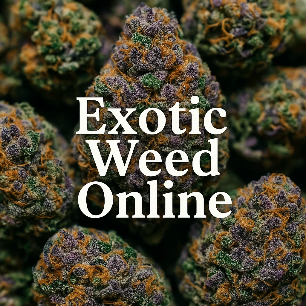 Close-up of purple and orange exotic cannabis buds with the text Exotic Weed Online.