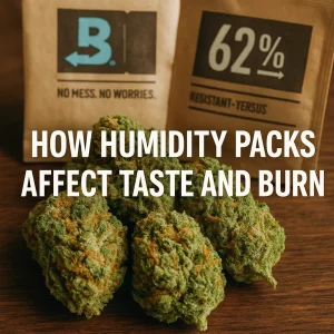 Cannabis buds in front of 62 percent humidity packs used for moisture control.