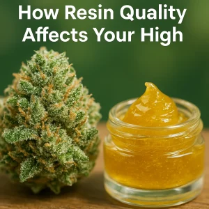 Close-up of a frosty cannabis bud next to a small jar of golden resin.