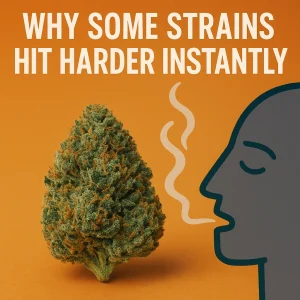Cannabis bud beside a graphic illustration of a person exhaling to show fast-onset effects.
