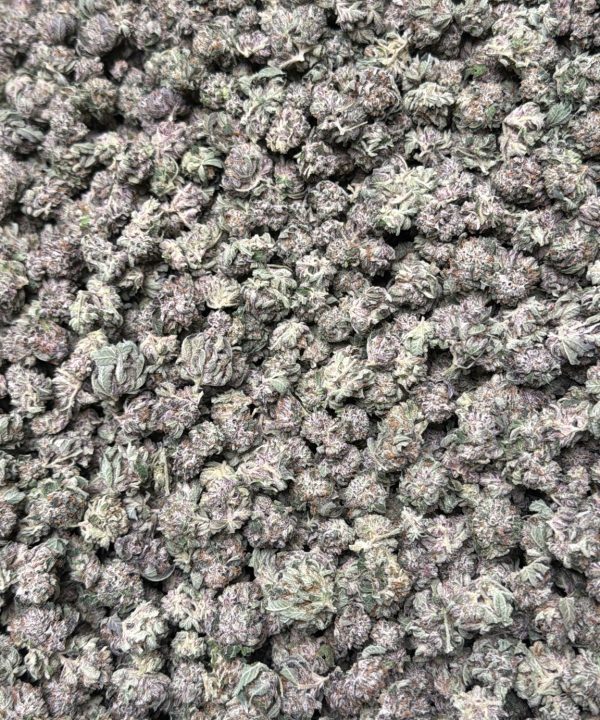 Black Tuna Smalls